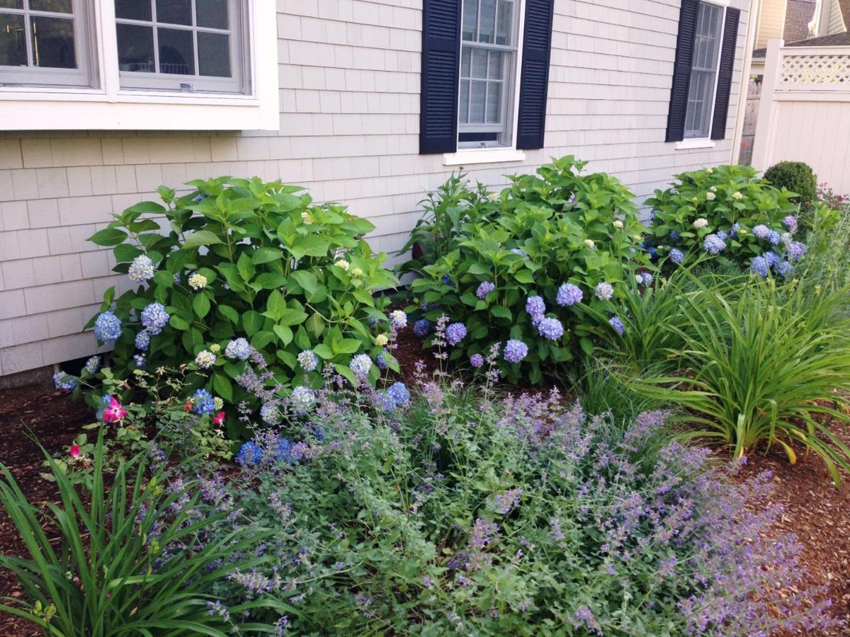 161 Bay Lane Centerville Cape Cod - Bay Breeze ภายนอก รูปภาพ